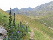 Monte Mincucco ad anello dal Lago di Valmora-31ag24- FOTOGALLERY